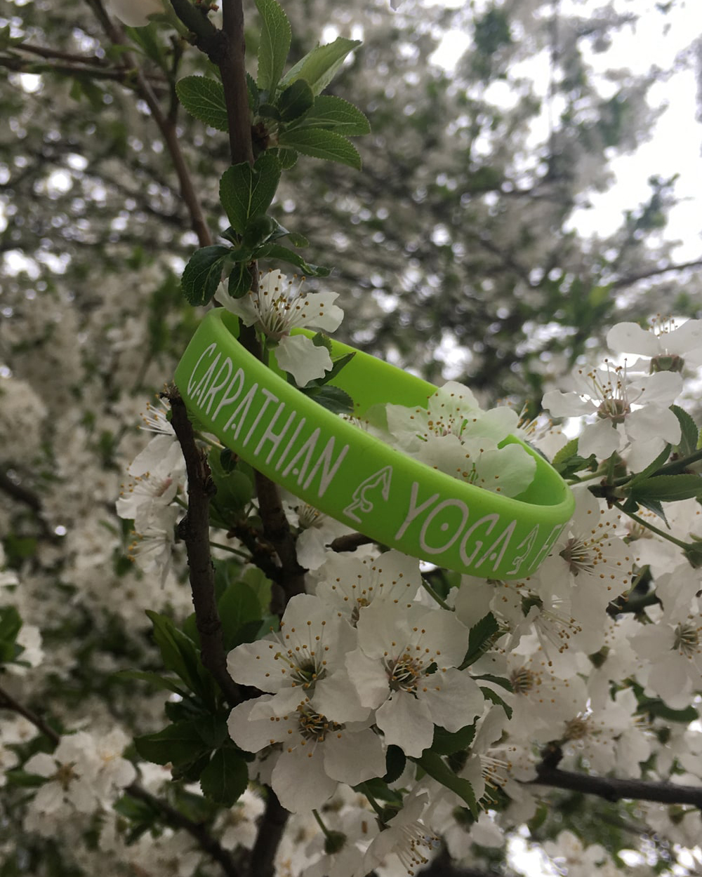 Spring Yoga Fest-min